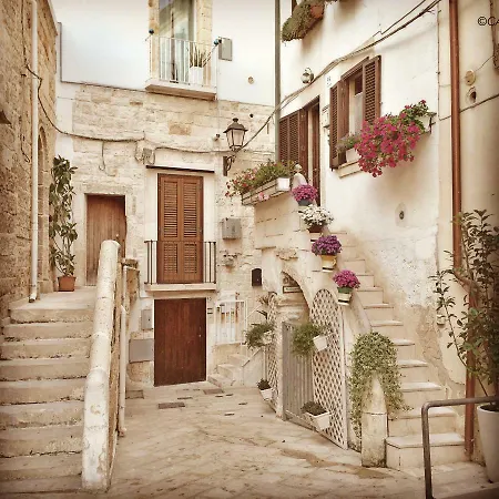 Dolce Vita Homes & Co *